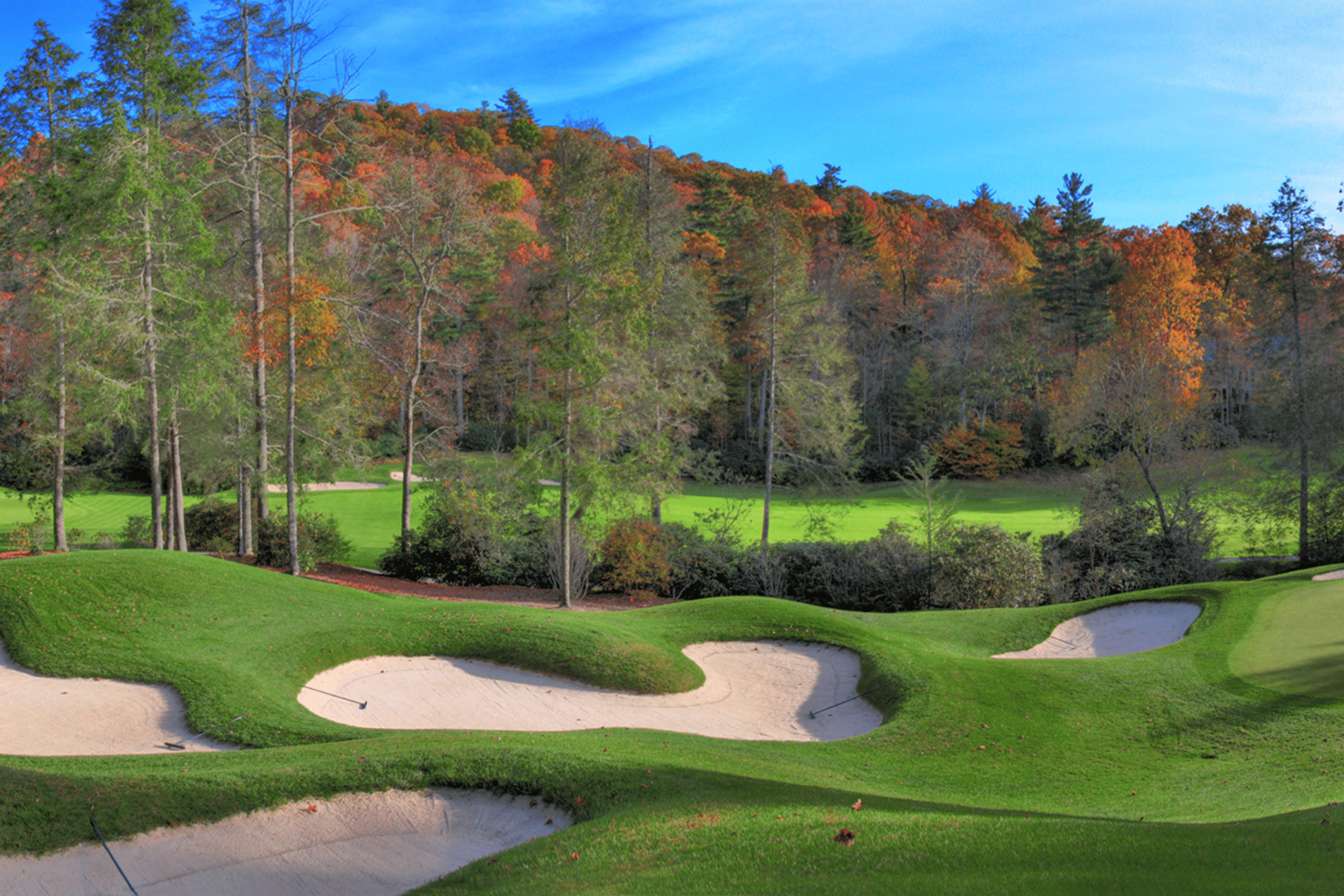 Golf course with fall foliage and sand bunkers under a clear blue sky.