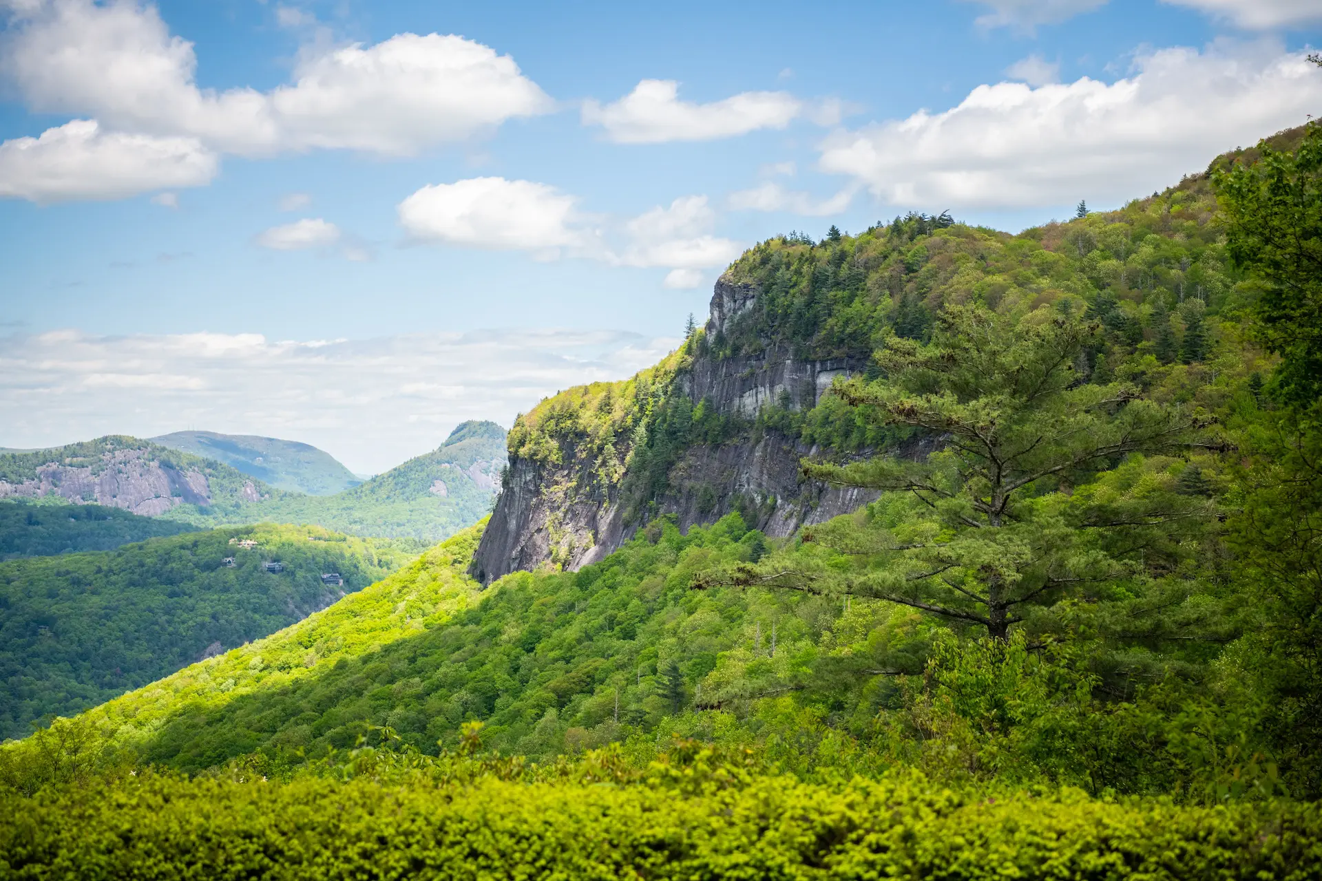 Lush green forest with rocky cliffs under a partly cloudy sky.