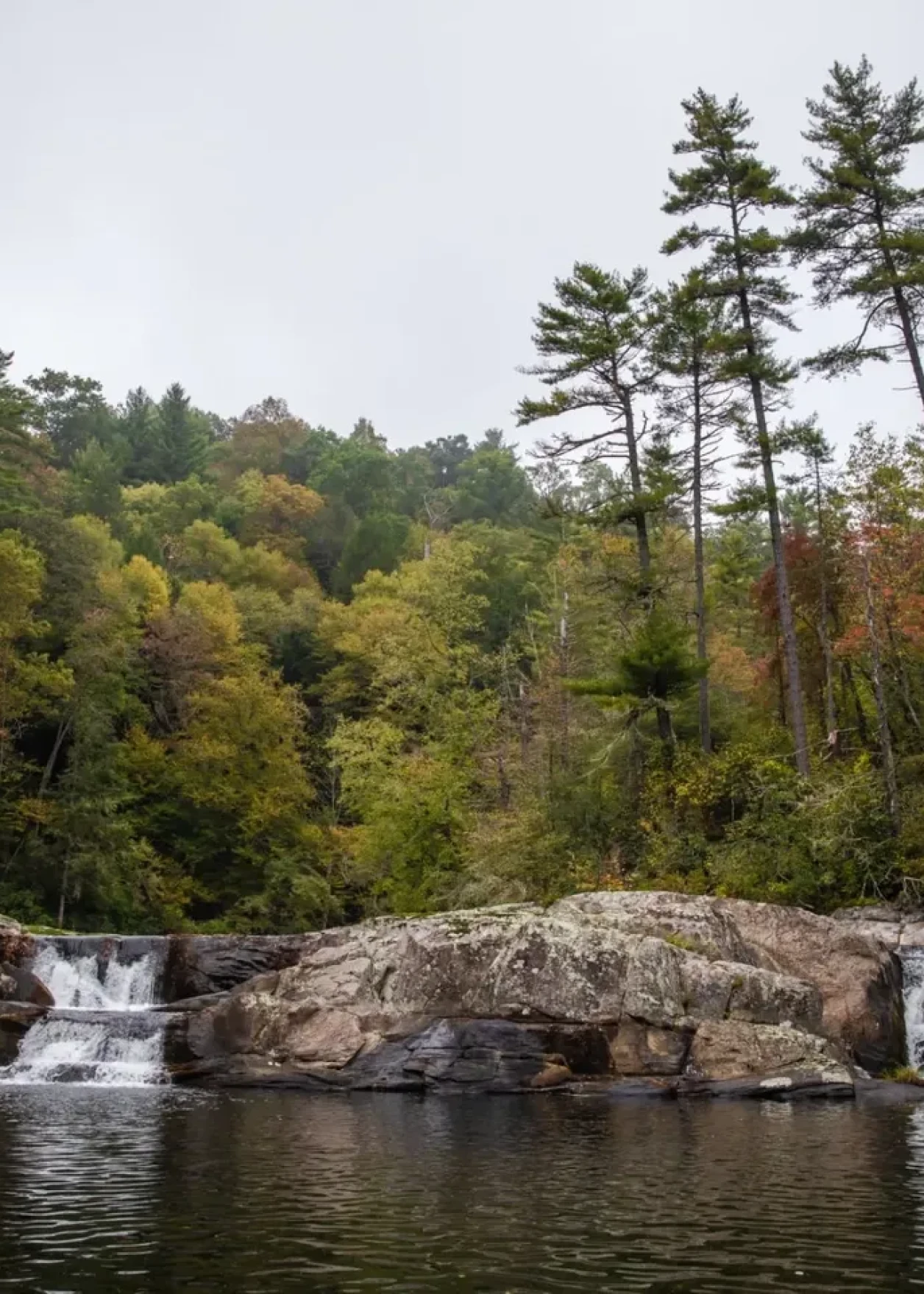 Scenic forest waterfall and rocks
